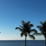 mogan gran canaria The best destinations for dream holidays in Gran Canaria, in Spain.