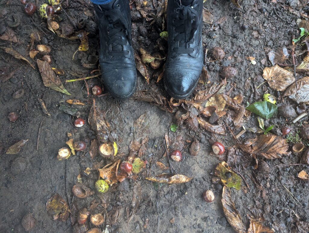 Conkers on the floor