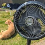Keeping cool, waking up fresh & garden discos: My summer at home tech essentials
