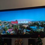 Love Hard film review: