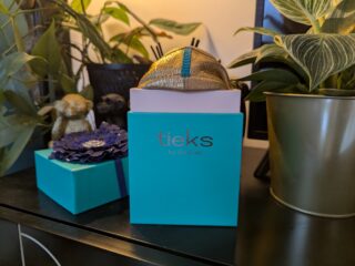 Tieks folding ballet flats shoes review