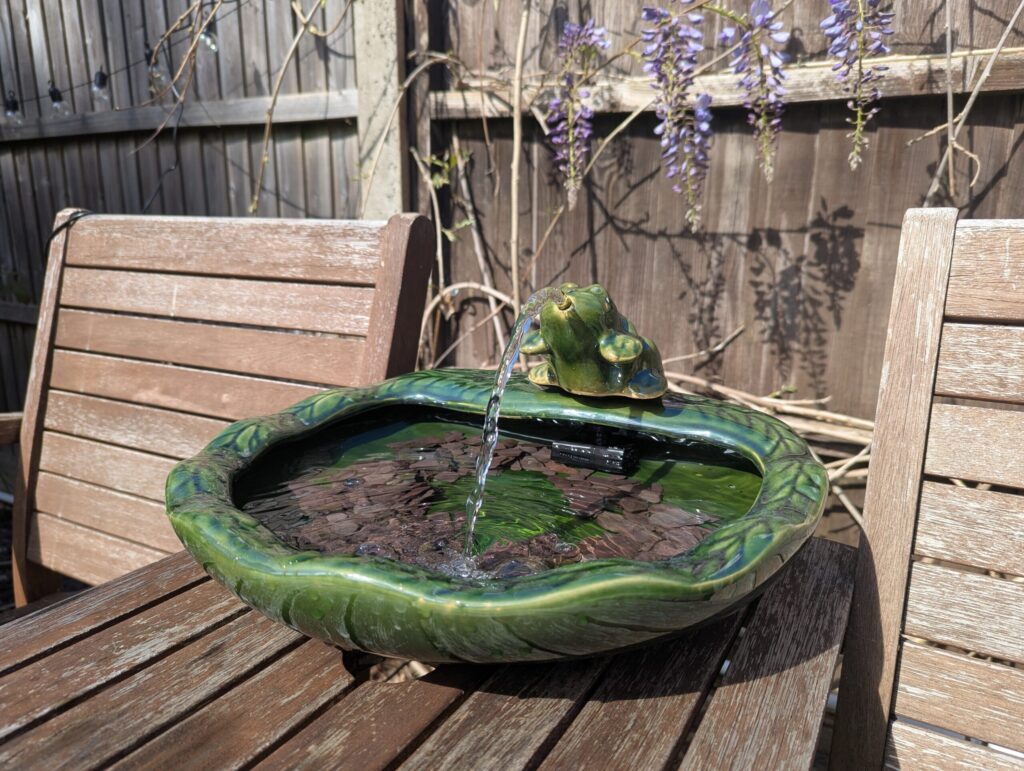 A frog fountain