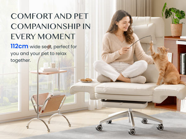 The FLEXISPOT Luno Office Chair